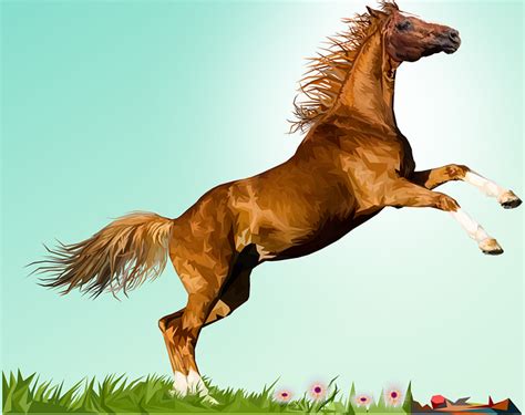 horse vector art|Over 1,000 Free Horse Vectors .